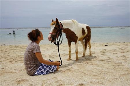 沖縄　乗馬体験